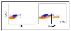 WC1(+) gamma delta T cell Antibody (ILA29), Novus Biologicals 0.1mg:Antibodies,